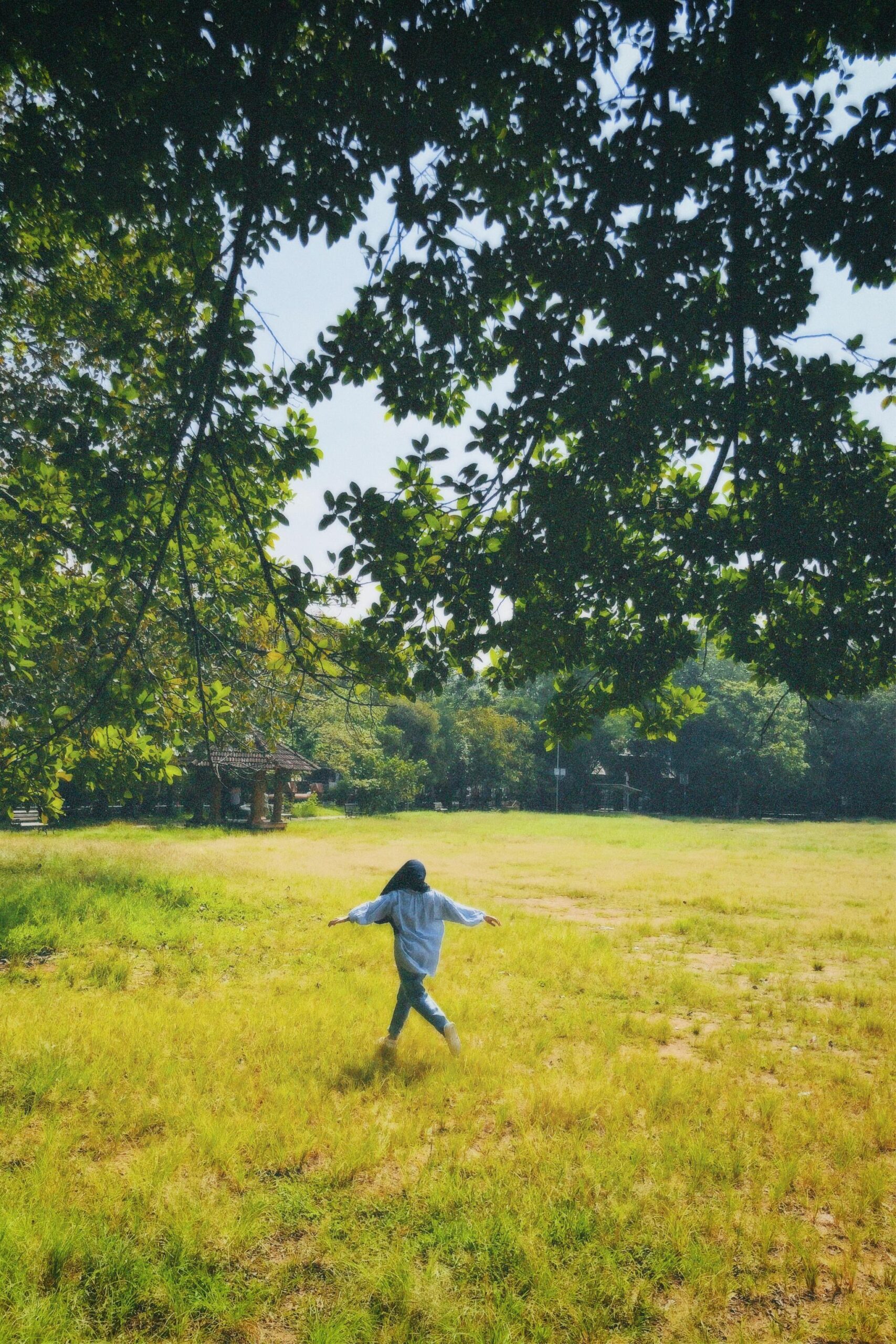 Photography-Freelance Digital Marketing Expert in Malappuram