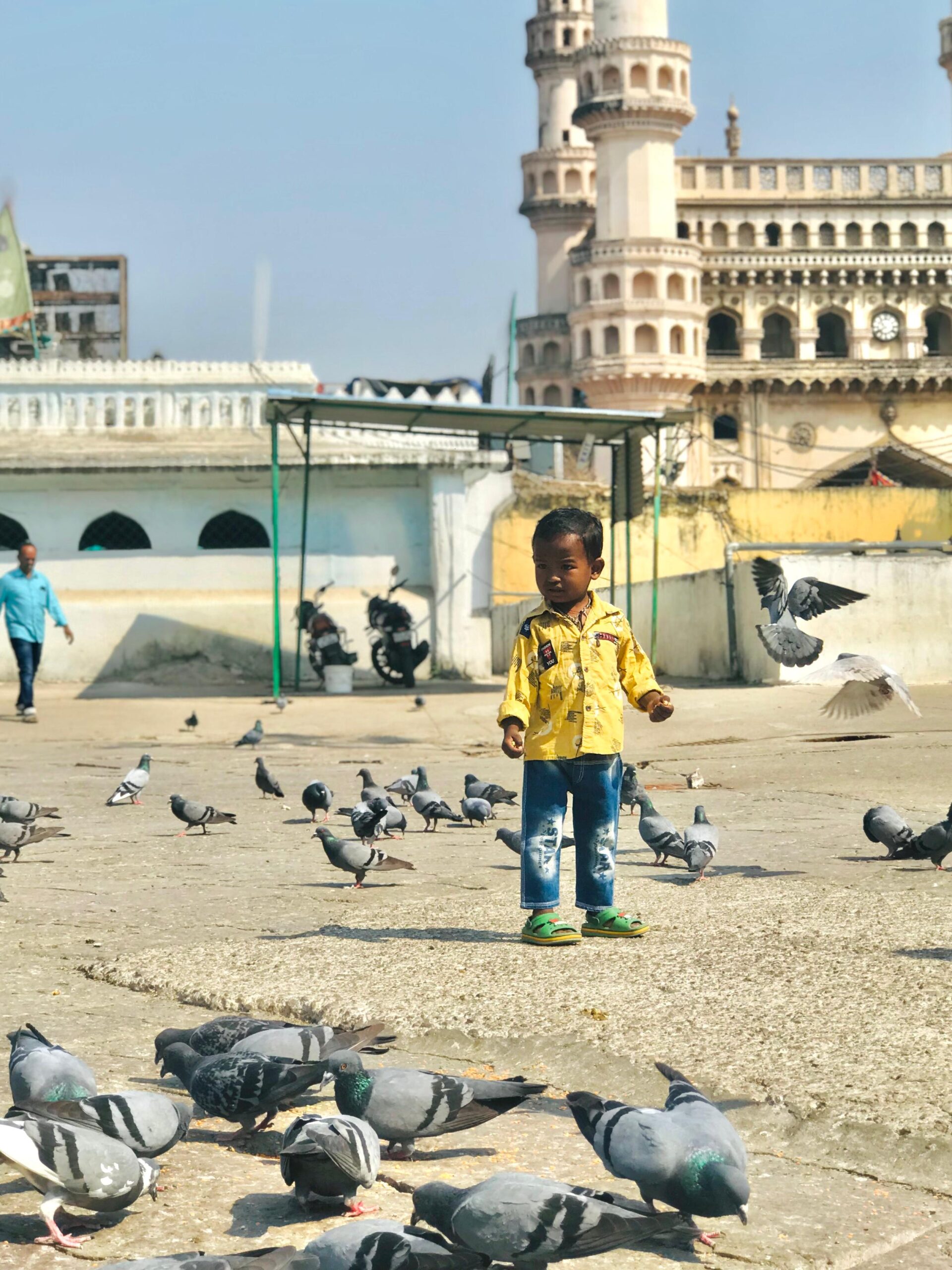 Photography-Freelance Digital Marketing Expert in Malappuram